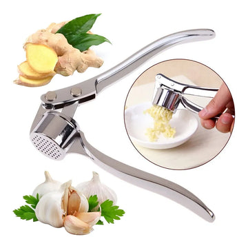 Kitchen Stainless Steel Garlic Smasher